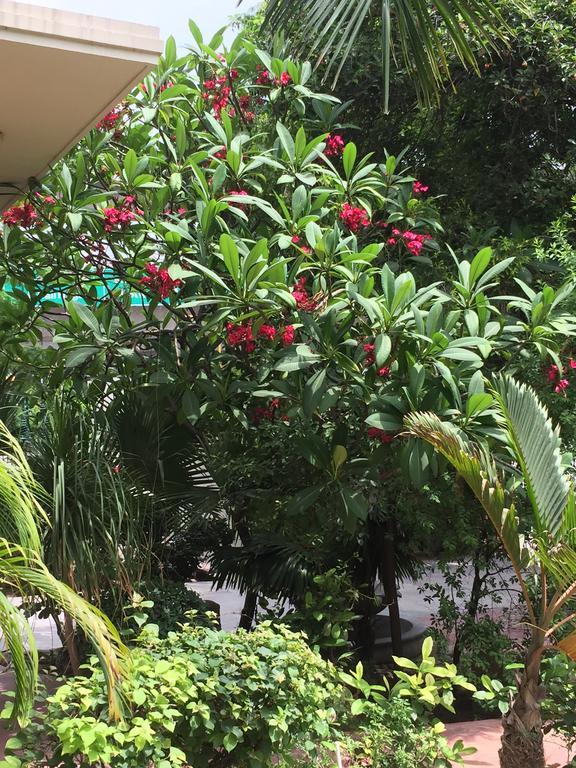 Barwara Kothi Hotel Dzsaipur Kültér fotó